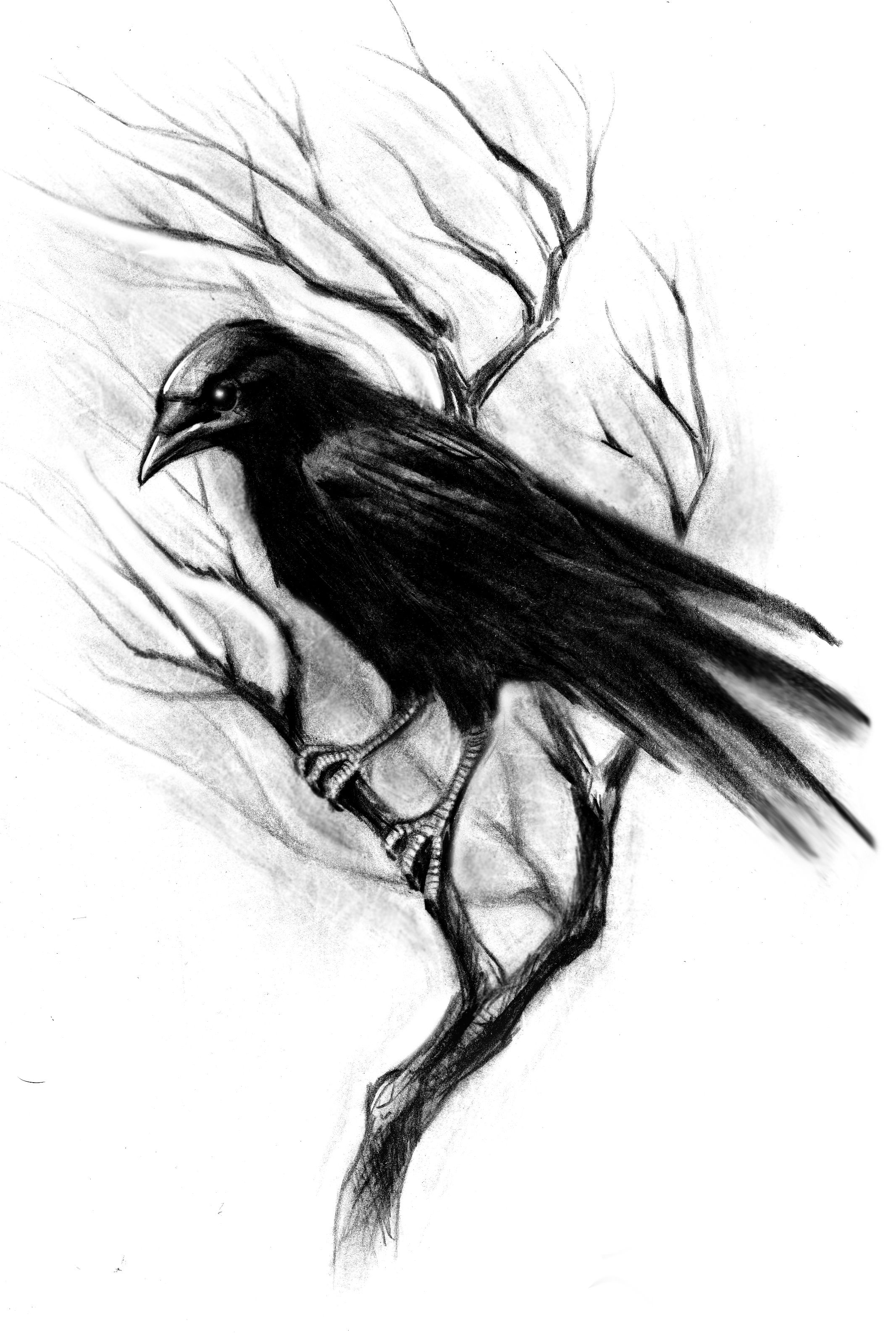 The Meaning Behind the Crow Tattoo Design