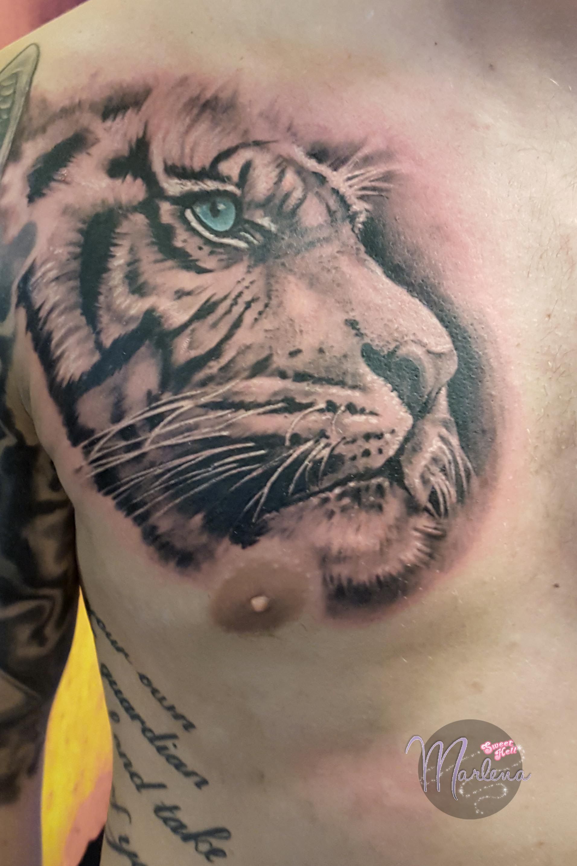 Tiger Chest Tattoo Best Tattoo Ideas Gallery