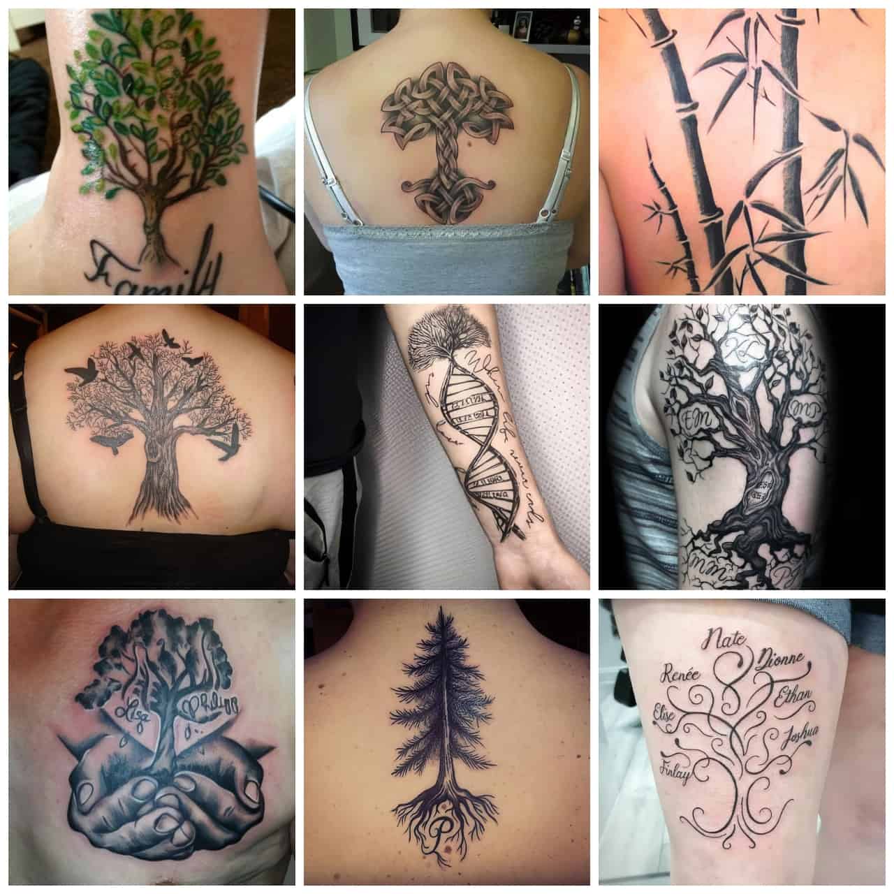 7 Tree Tattoo Ideas for Family Bonding