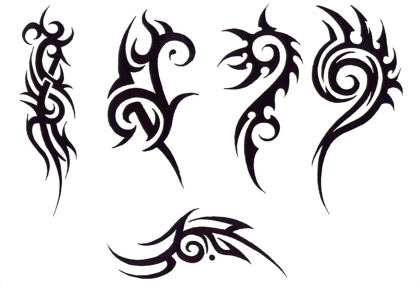 Tribal Tattoo Designs: Meanings and Popular Ideas