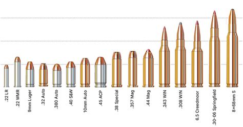 Ultimate Guide To Bullets Calibers And Cartridges