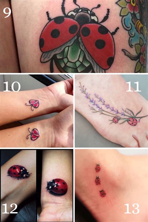 7 Unique Ladybug Tattoo Designs to Inspire You