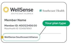 Wellsense Health Plan Group Number