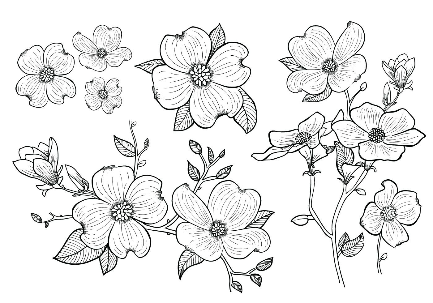 White Dogwood Tattoo Meaning and Design Inspiration